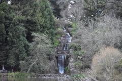 Stow Lake scenic view with bridge and lush greenery