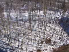 Billings Estate Cemetery from above in February 2009