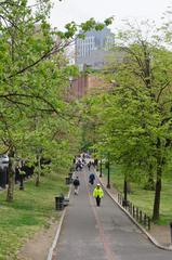 Boston Common with red bricks marking the Freedom Trail