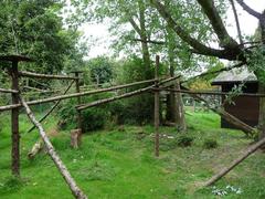 Red Panda enclosure at Birmingham Nature Centre