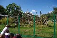 People watching squirrel monkeys at Birmingham Nature Centre