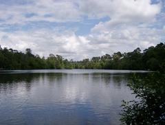 Black Park Country Park in Slough, UK