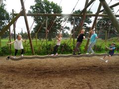 Giraffes at Blair Drummond Safari Park