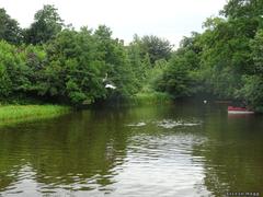 Blair Drummond Safari Park view with animals and visitors