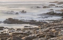 Praia do Castelo do Queijo in Porto, Portugal