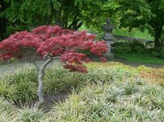 China Garten in Planten & Blomen