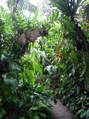 View of Planten un Blomen park in Hamburg with tropical greenhouses