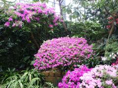 Subtropical house in Hamburg Planten un Blomen