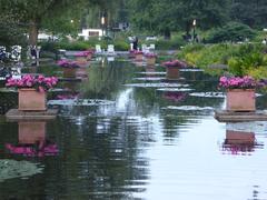 scenic view of Hamburg Tiergarten park with lush greenery and pond