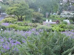 scenic view of Hamburg Tiergarten park with lush greenery and a serene pond