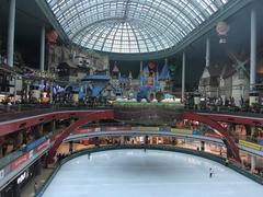 Ice rink of Lotte World in Seoul