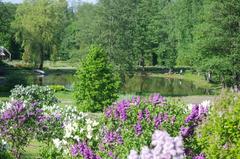 Pond in VU Botanical Garden in Kairėnai