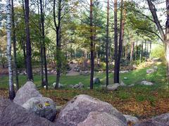 Vilnius University Botanical Garden Rhododendron Area