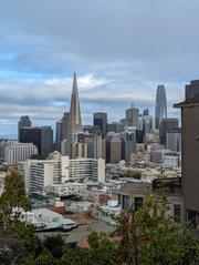 San Francisco skyline from Ina Coolbrith Park