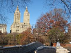 Bow Bridge in Central Park with a view of the lake and surrounding trees