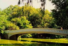 Bow Bridge in Central Park