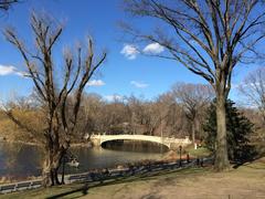 Bow Bridge in Central Park, New York