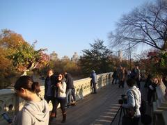 Bow Bridge in Central Park, New York City