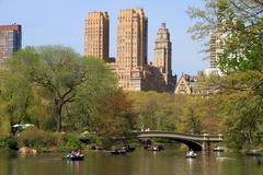 The Lake and Bow Bridge in Central Park