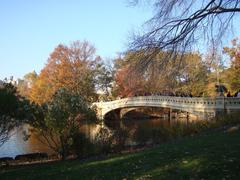 Bow Bridge in Central Park on a sunny day