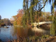 Bow Bridge in Central Park during autumn