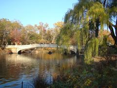 Bow Bridge in Central Park during daylight