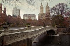 Bow Bridge in Autumn, Central Park