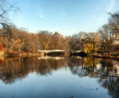 Bow Bridge in Central Park, NYC