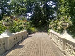 Bow Bridge in Central Park, Manhattan, New York