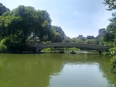 Central Park the Lake and Bow Bridge