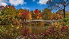 Bow Bridge in Central Park, New York City