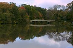 Bow Bridge in Central Park during fall