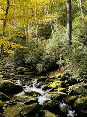 Scenic view of Roaring Fork Motor Nature Trail