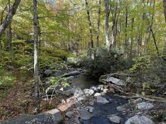 Roaring Fork Motor Nature Trail in March