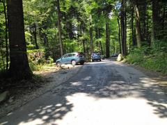 Roaring Fork Nature Trail with lush greenery