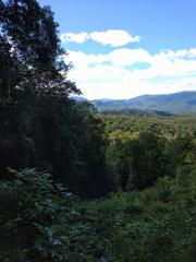 Scenic view of Roaring Fork near Pigeon Forge, TN on a beautiful day