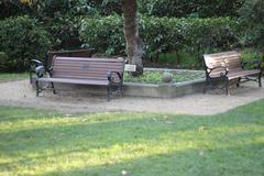 Serene bench in Shakespeare Garden