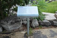 Constructed wetland at Pier 1, Brooklyn Bridge Park