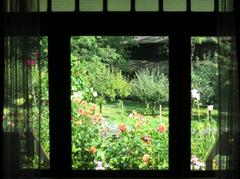 garden with lush greenery and colorful flowers