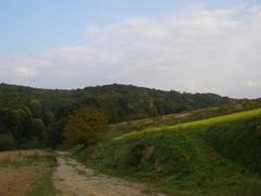 Kobylańska Valley with lush greenery and rocky terrain in Będkowice