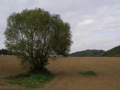 Będkowice Kobylańska Valley landscape