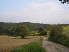 Będkowice Kobylańska Valley scenic view