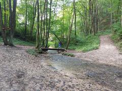 Będkówka stream in Poland