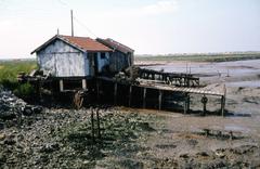 Oyster farming huts with stilts and pontoons in Marennes-Oléron tidal basin