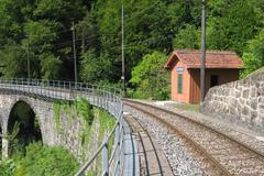 Viaduc de la Baye de Clarens with train from Blonay-Chamby Railway