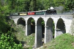 Steam train on Viaduc de la Baye de Clarens