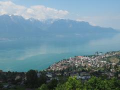 Montreux and Lake Geneva view from Blonay-Chamby railway