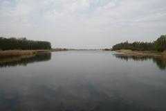 River Twiske in nature area Het Twiske, Noord-Holland, The Netherlands