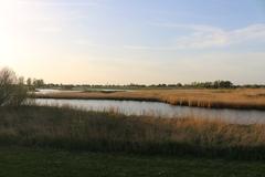 Twiske Natural Area in the Netherlands