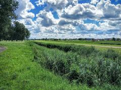 Scenic view over Het Twiske nature reserve